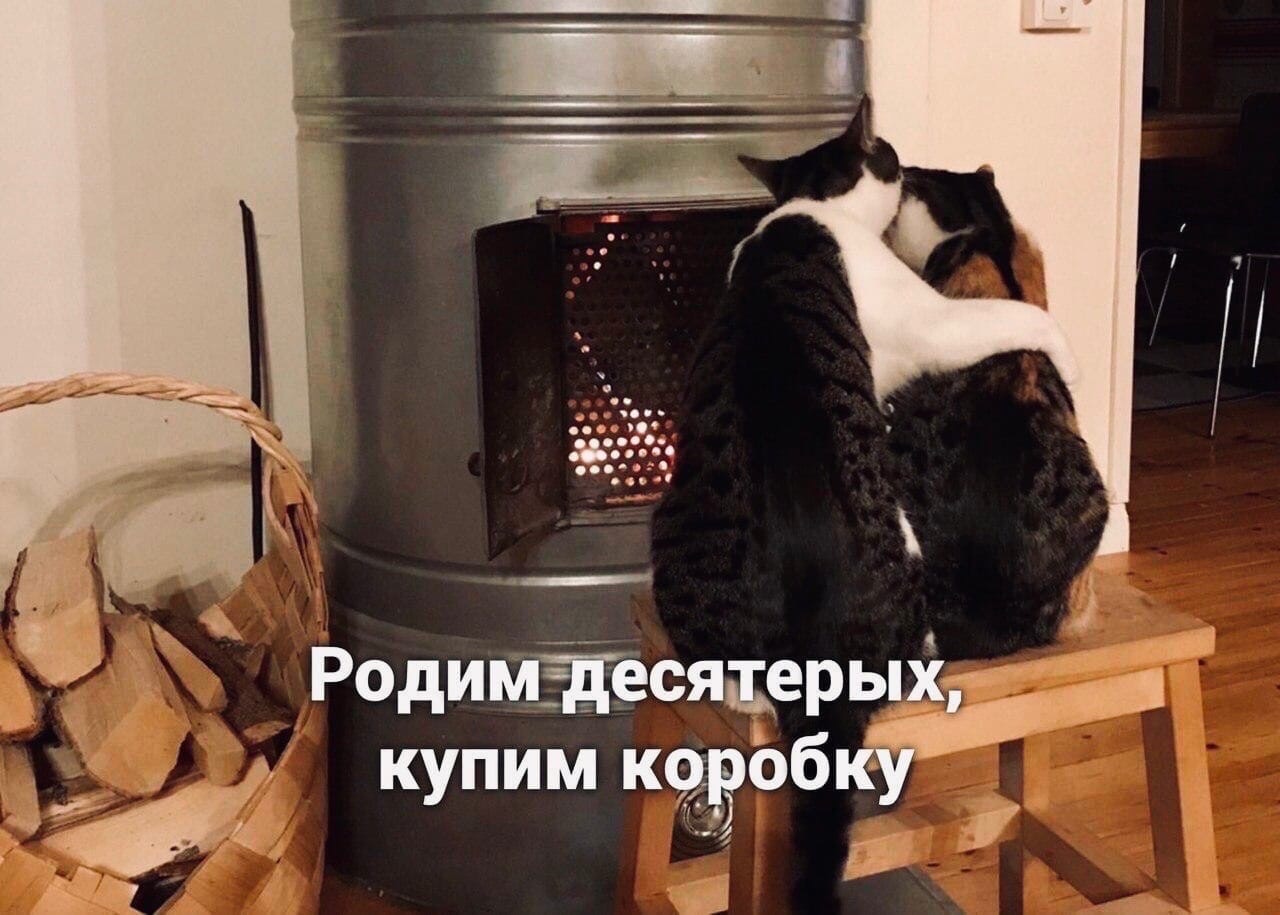 Заведенный человек