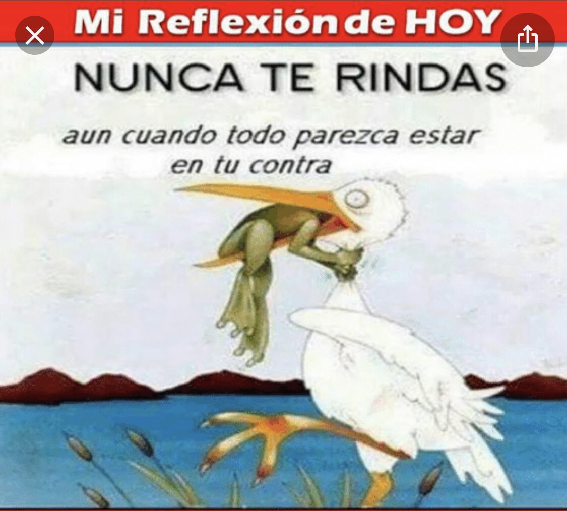 KattyaGonzalez9's tweet photo. Mientras los valores y principios nos acompañan, no nos desmoralizaran  jamás. Tampoco llegaremos, porque llegar es detenerse y no nos detendremos nunca #bastacarajoderobar https://t.co/qaavcpKYYU