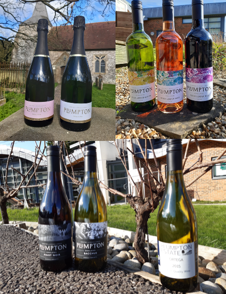 PlumptonWine tweet media