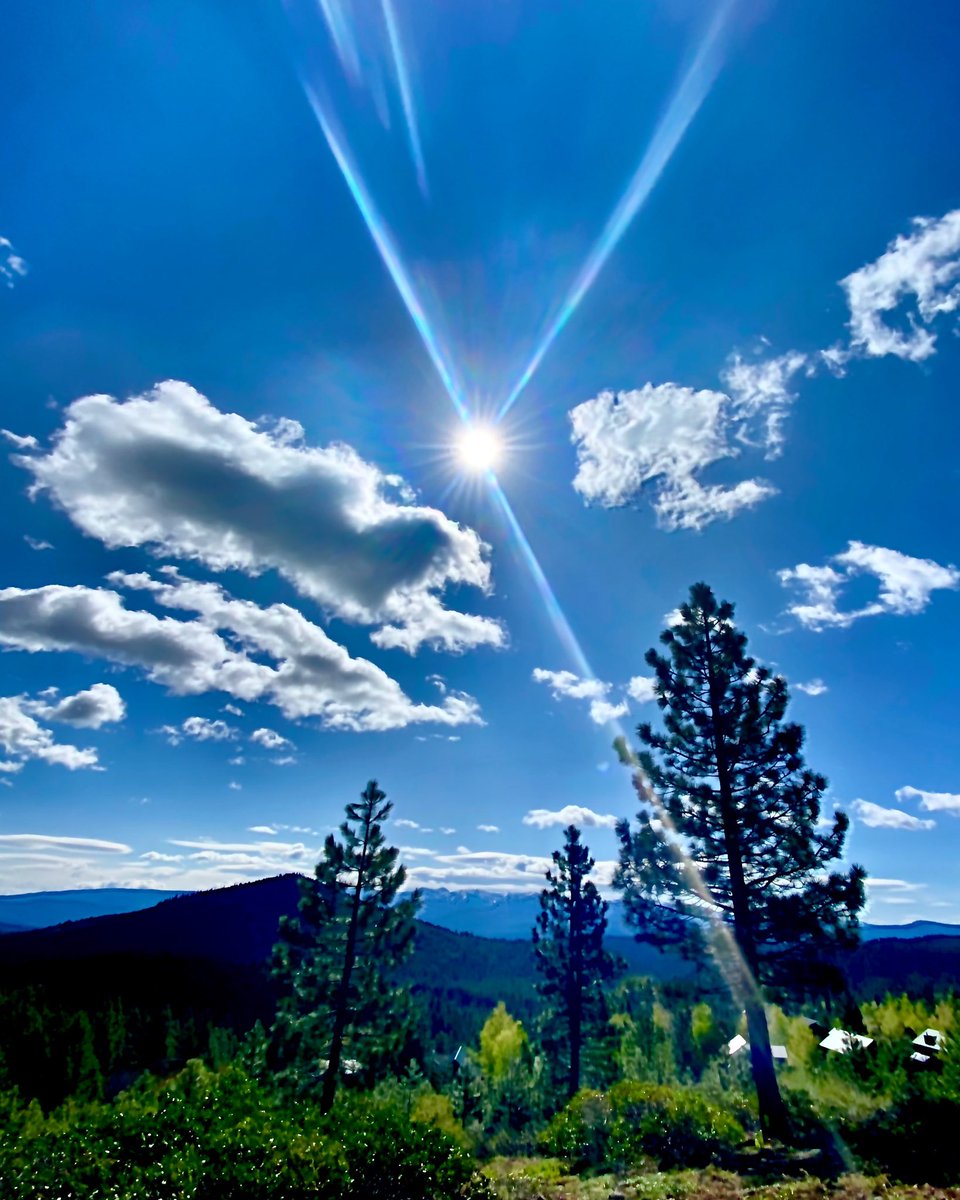 drjessica17's tweet photo. Nothing quite like a morning walk in the woods 💚🌲💙 

#truckee #truckeelove #naturetherapy #foresttherapy https://t.co/DJCcxImp38