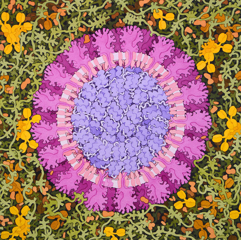 “Personality” here means any detail—whether it be the color palette or the shape of the spikes or the width of the sphere—that the viewer’s eye can affix itself to and remember. "  identifying the enemy.
theparisreview.org/blog/2020/05/1…