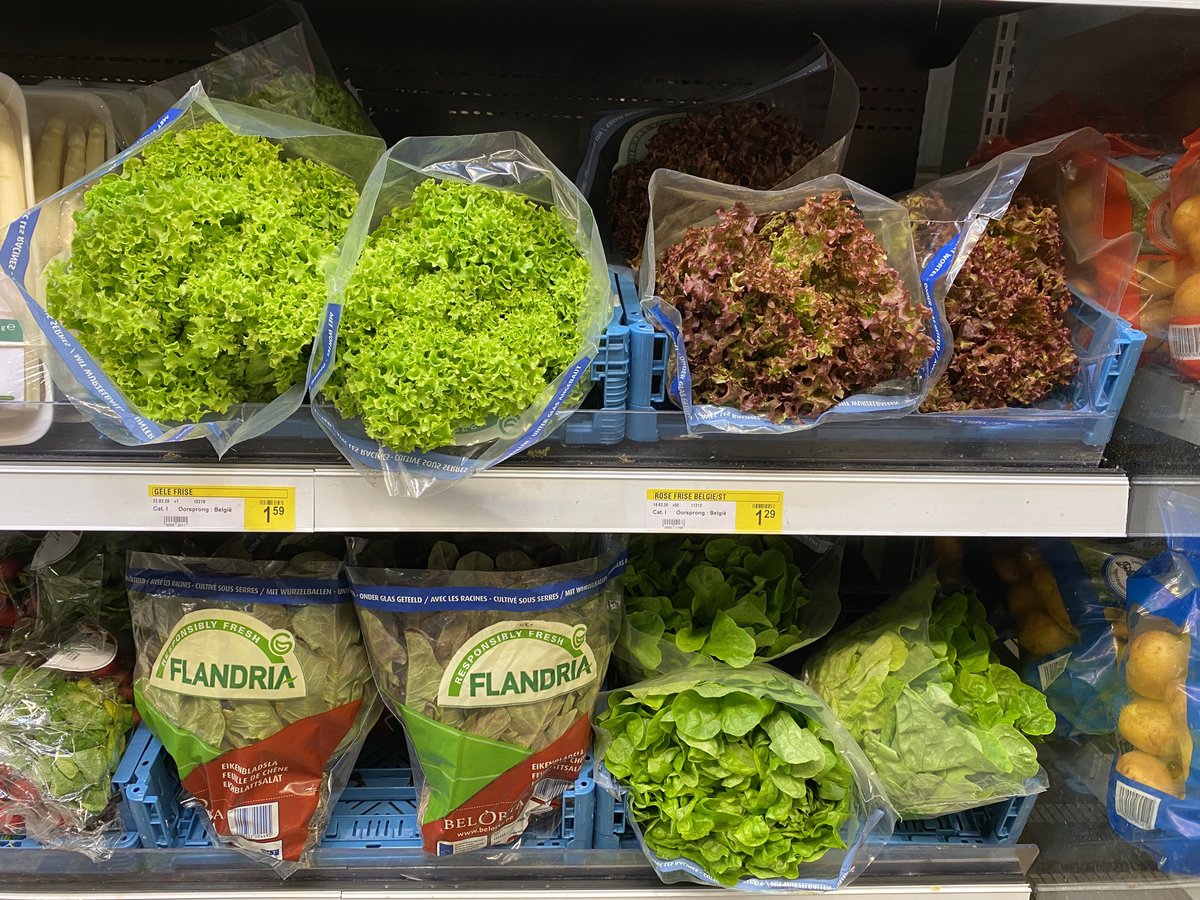 belgianjapri's tweet photo. Ja sla en tomaten zijn deze maand top verkopers! Nuttig om weten: alle groenten geteeld volgens de Flandria lastenboeken zijn milieuvriendelijk geteelde groenten. Bij Flandria sla is er zelfs een vooroogstcontrole op residu’s . #flandria #lastenboeken #flandria #belorta #vcbt https://t.co/Vro7rnQXn1
