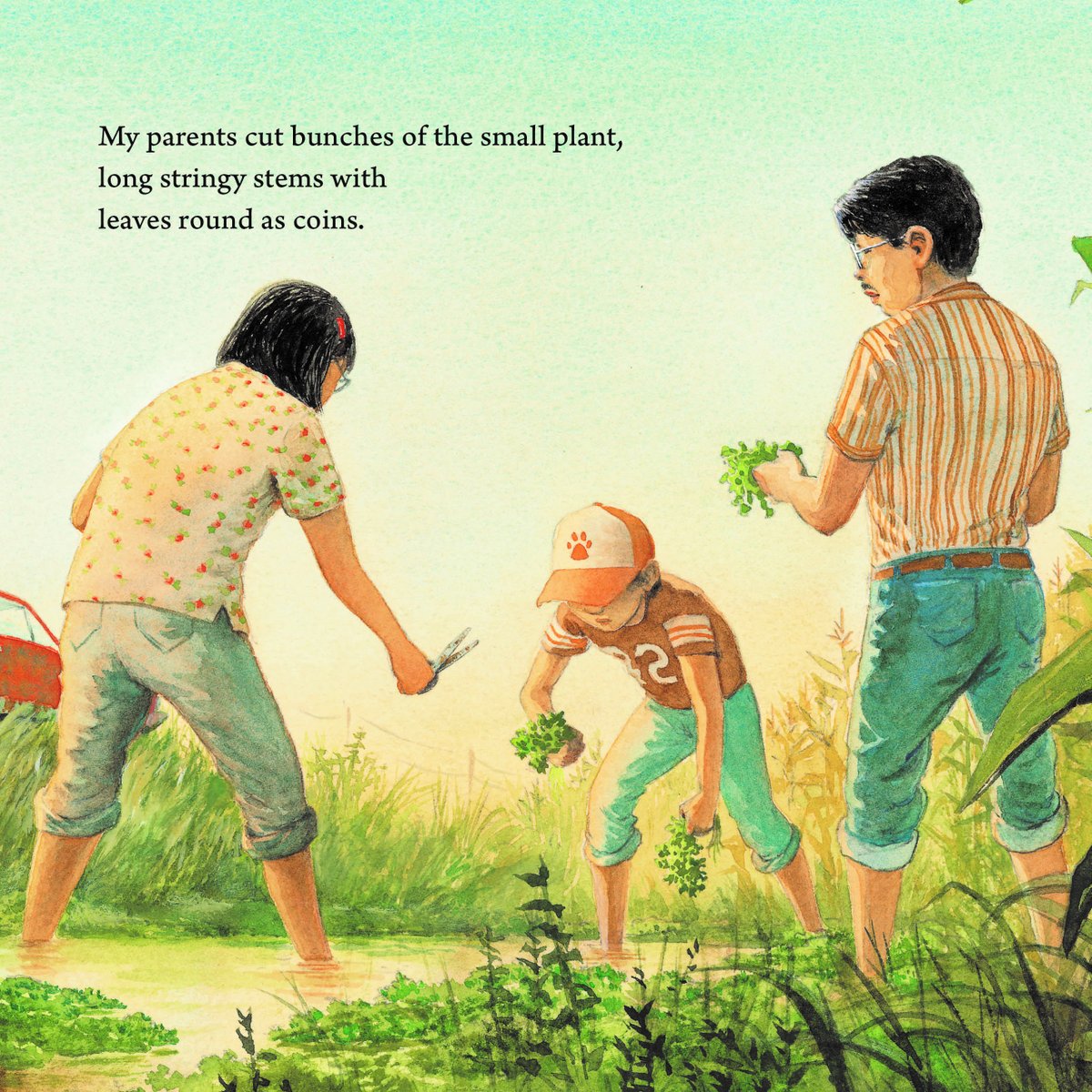 Andrea Wang - preorder WATERCRESS now! on Twitter: "Thank you, Angela! ❤️… "
