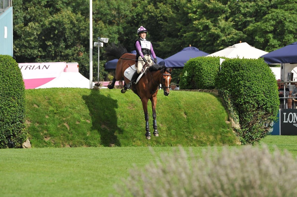 GEWeventing's tweet photo. Monday we will celebrate King Coco’s 21st Birthday. He will be having a party once lockdown is eased. But for now we are having daily pictures for bank holiday
Day 1: @HicksteadEvents 2017. Jumping the Eventers Challenge 🥰😍💕#kingCoco #legend #lovehim https://t.co/4n5tLEMS2J