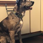 Photo by Jeremy Goldstein 🚶‍♂️🦖 (@jmgold)