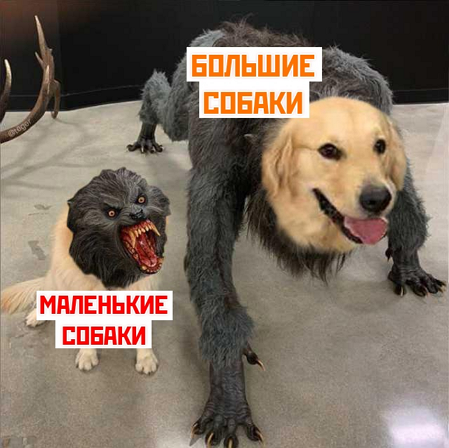 Ужасные мемы (@so_mad_so_funny) on Twitter photo 