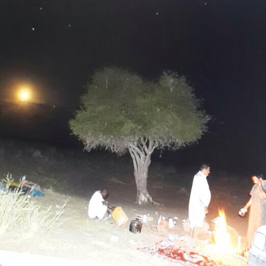 وجميع ماتطلب على النار مجموع
ربع دليلتهم حنيف الدهاسي
وتوادعوامع دكت الشمس بطلوع
وغدا لهم عند الركوب احتواسي
واقفوامع خايع جث مقطوع
متناوشين روس حمر الرواسي