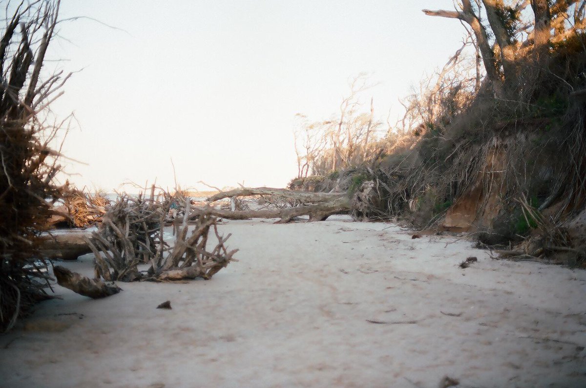 llidoisnguyen's tweet photo. Missed focus but I’m still happy with how my first film photos came out. https://t.co/yJzSmLkDgs