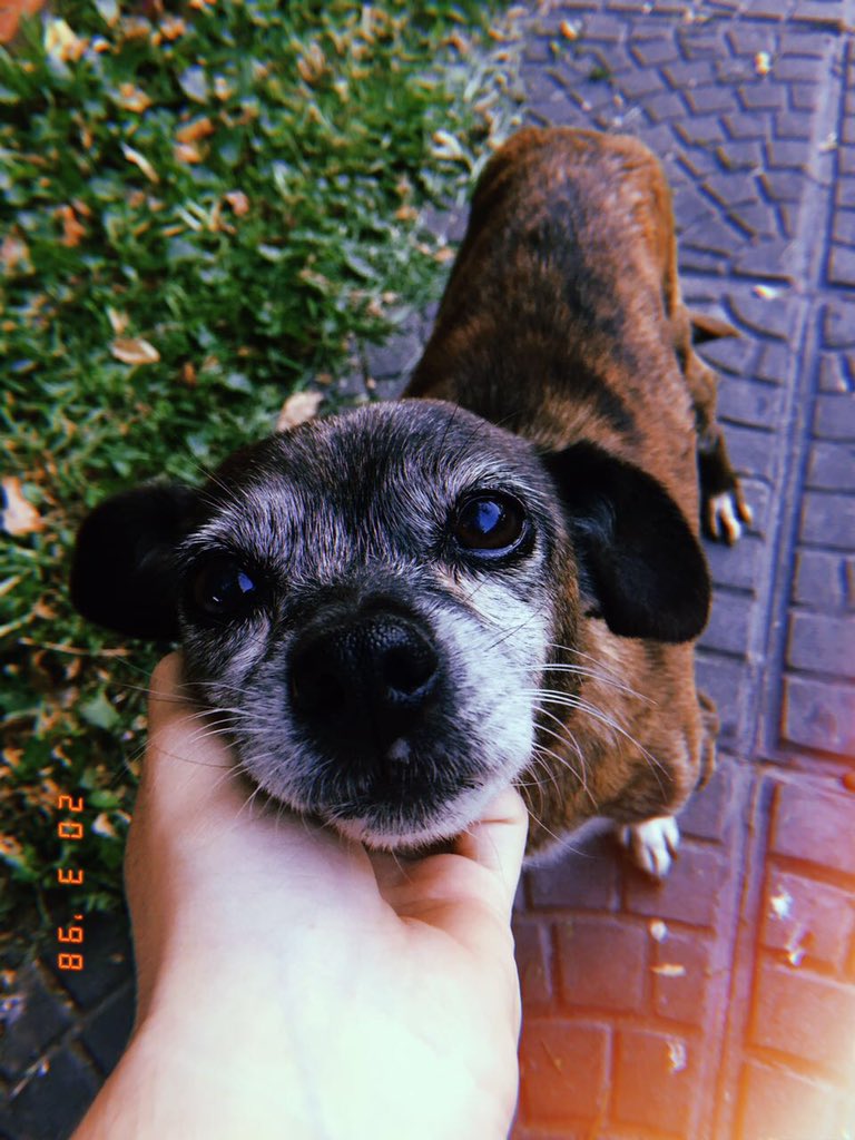 CamiPozzolo's tweet photo. Fuiste y vas a ser la mas linda del mundo ❤️😍❤️😍❤️😍❤️ https://t.co/RZmDxyjF5s
