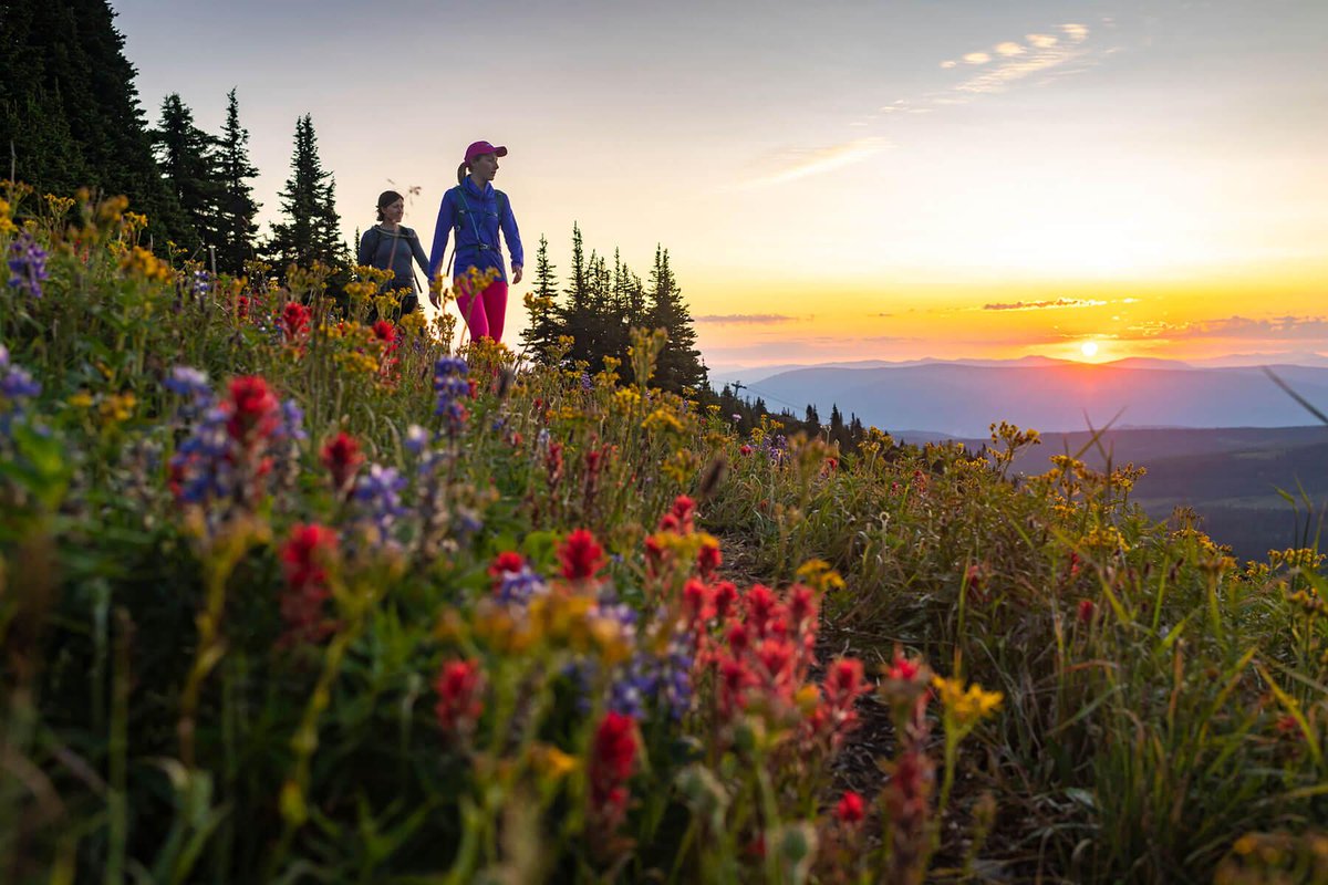 Our uncrowded terrain and dense wildflowers definitely make the list! Check out our latest blog: 5 Reasons to Visit Sun Peaks in Summer. ow.ly/5BCM50zOdrf
#sunpeaks360 #explorebclocal