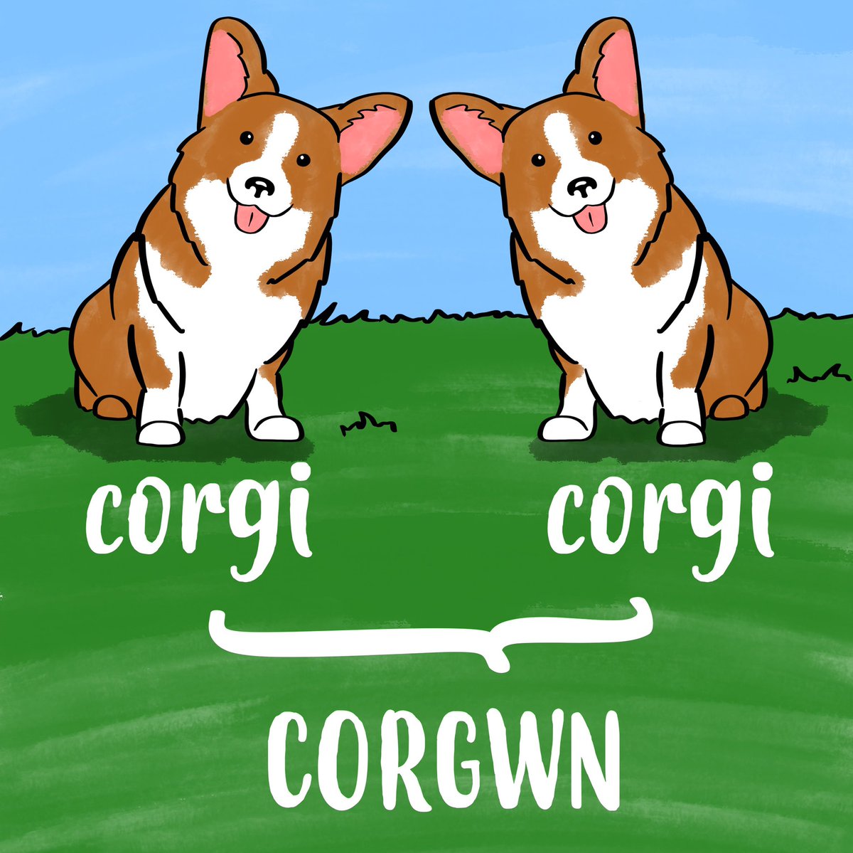 An ongoing thread of Welsh plurals, starting with everyone's faves: corgwn!
Corgi (ˈkɔrɡiː)
Corgwn (ˈkɔrɡʊn)