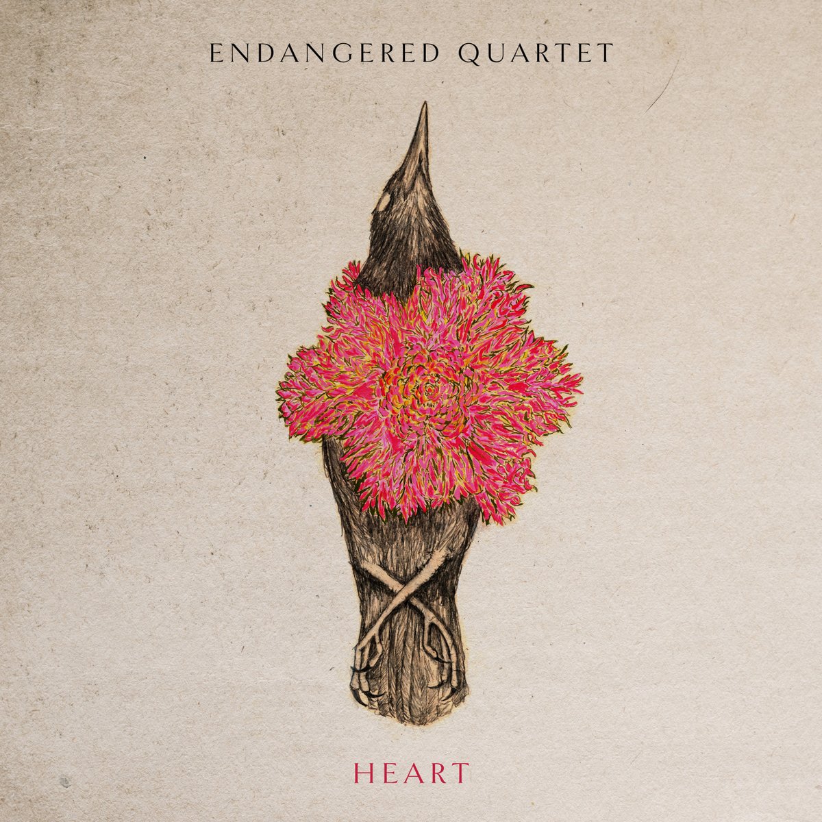 EndangeredQ's tweet photo. Out today! Come celebrate the release of our debut album
#Heart @NewFocusLabel! Join us on our FB artist page
tonight @ 8pm. We'll introduce ourselves, feature some
tracks, and have a special intro by our dear friend
@ElvisCostello.
https://t.co/Ui29vklnLZ https://t.co/XgQBGHQ4sH