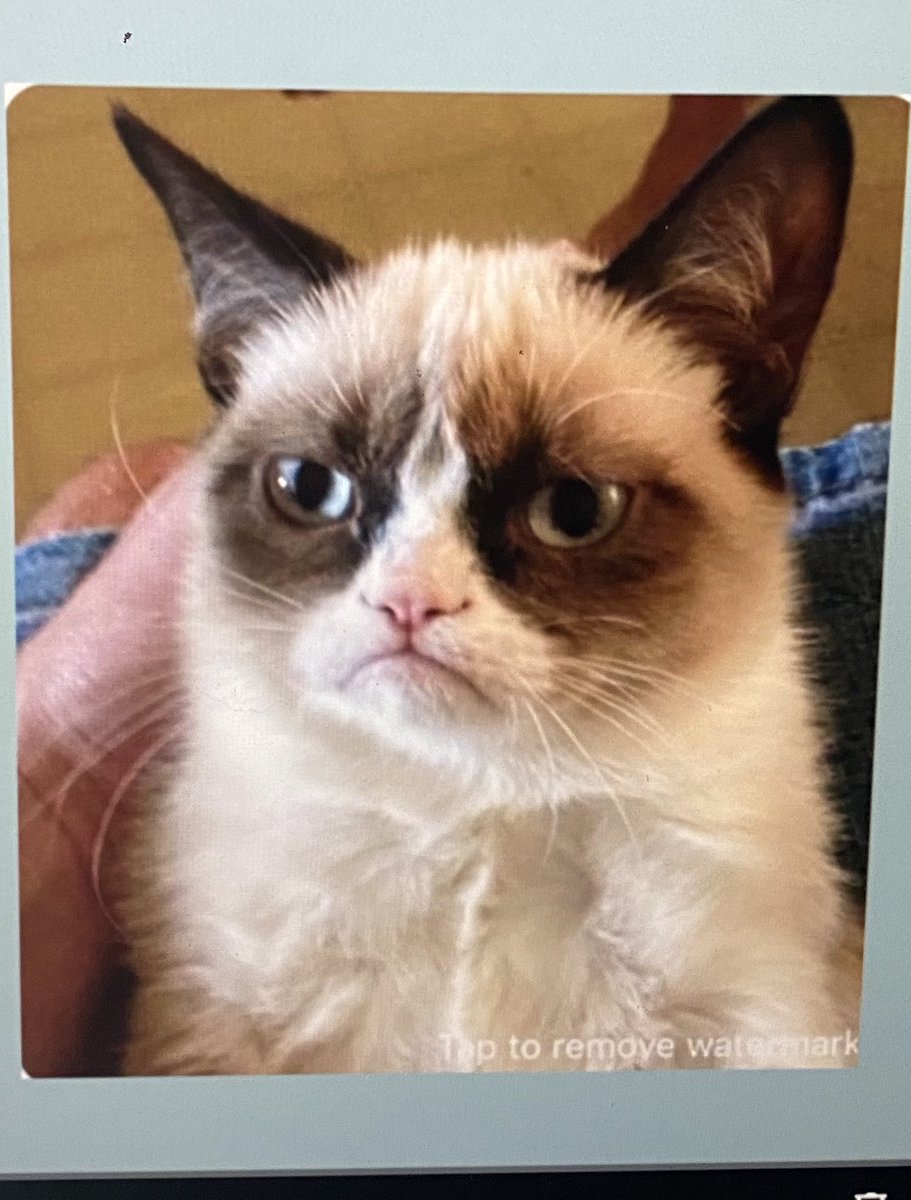 MsAmzler's tweet photo. Fun Friday activity! Making inferences by making memes! @MineolaMS @MrsLRiveraMMS @speech_mms #WeAreInThisTogether https://t.co/wdkGwhU241