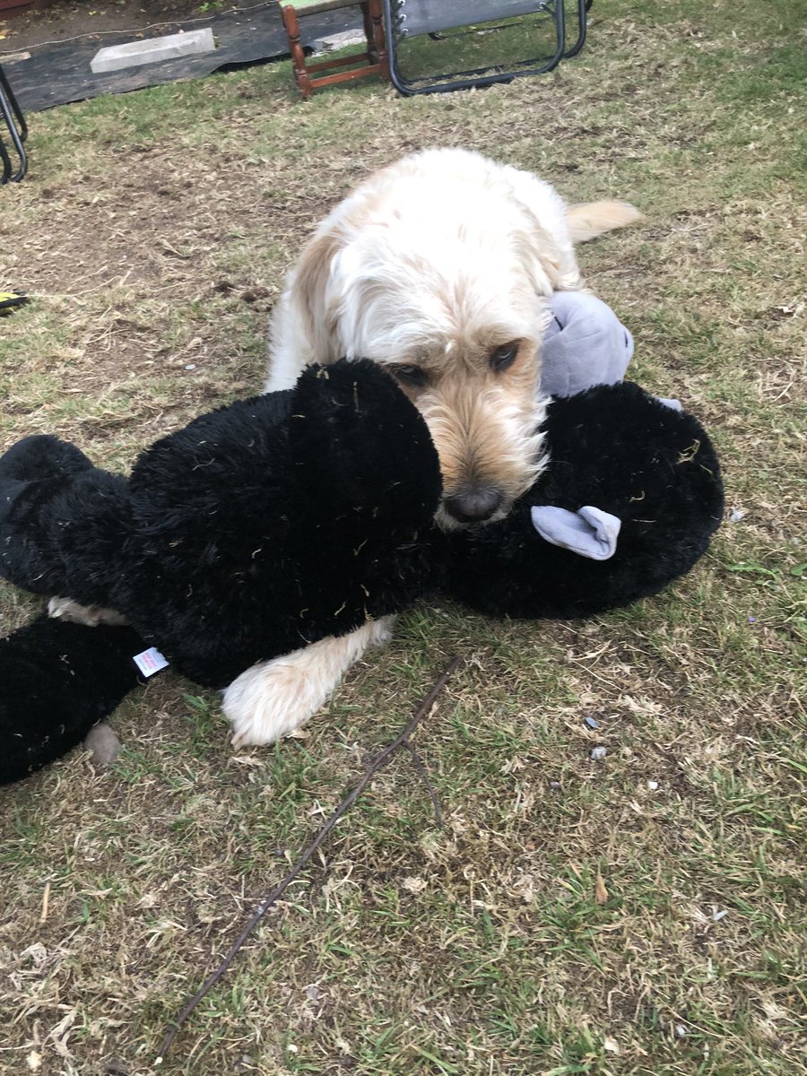 Murphy198597's tweet photo. Love my new toy x https://t.co/yE5ZUigWWi