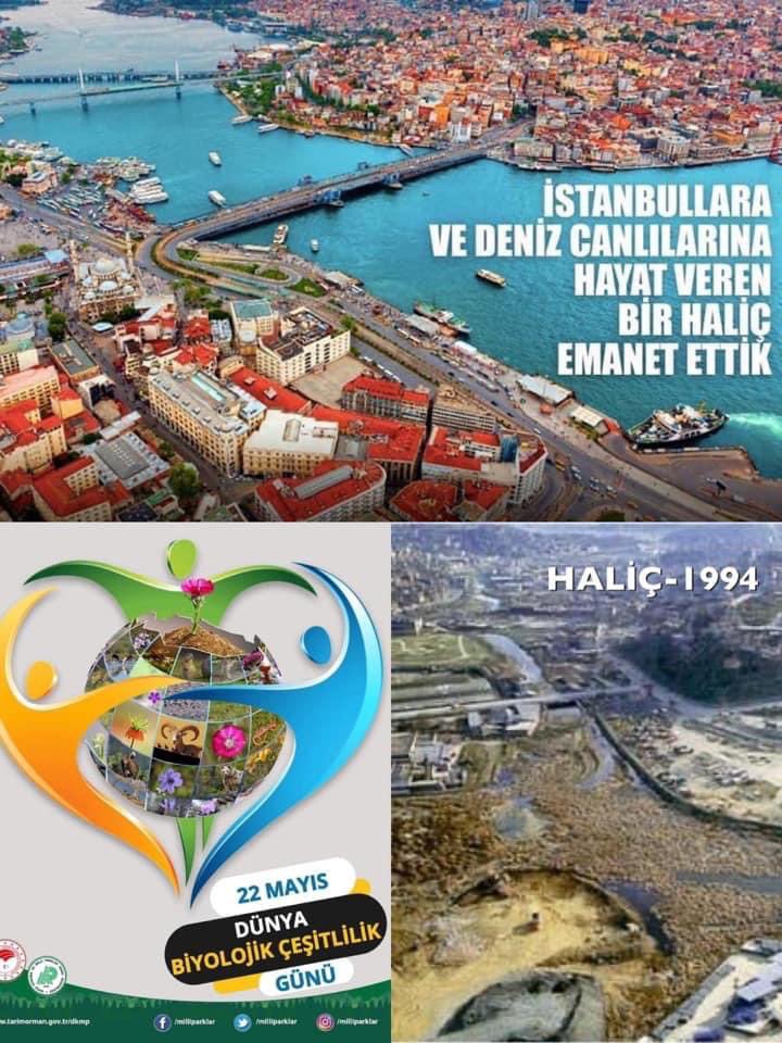 #DünyaBiyolojikÇeşitlilikGünü