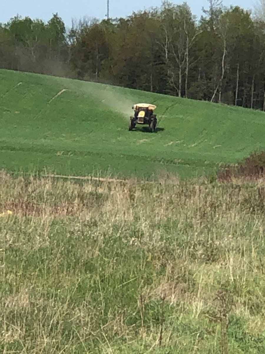 Holmesagro's tweet photo. Just put the skinny shoes on the high clearance spinner. Ian Van Doornik top dressing winter wheat with an Amidas blend. This machine will be busy over the next few months top dressing everything from wheat to vegetables. #watchitgrow https://t.co/fzvf2zikDx