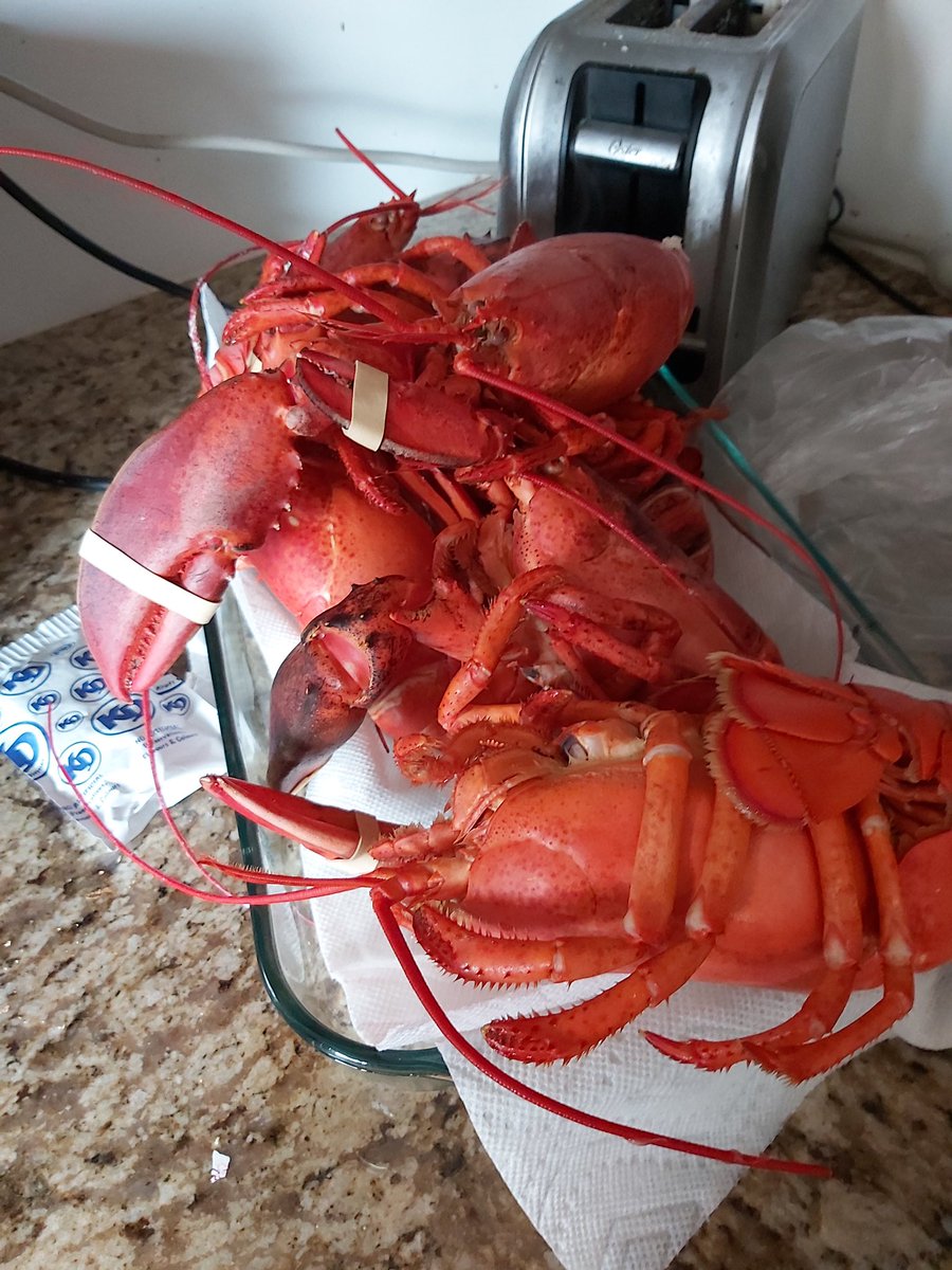 coachmomweb's tweet photo. As a single parent my philosophy with my boys was always ‘help me help you’ with all the running around + school work + holding down a few jobs teaching them to cook when they were younger was the best thing ever‼️ See their quarantine creations #nuturinggrowth #lovedembelly https://t.co/gN7haaxLyd