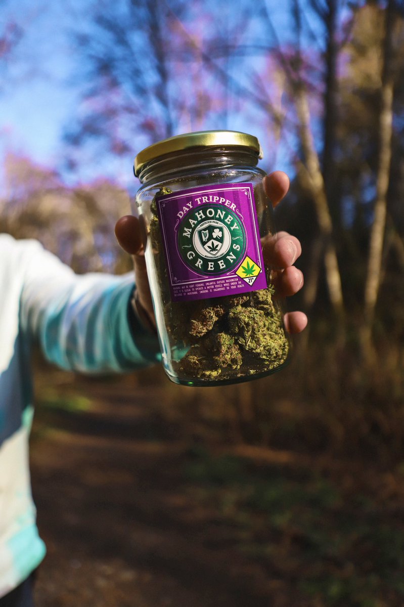 You know what can make a bad day turn good? 

🙃🙂☘️ #mahoneygreens