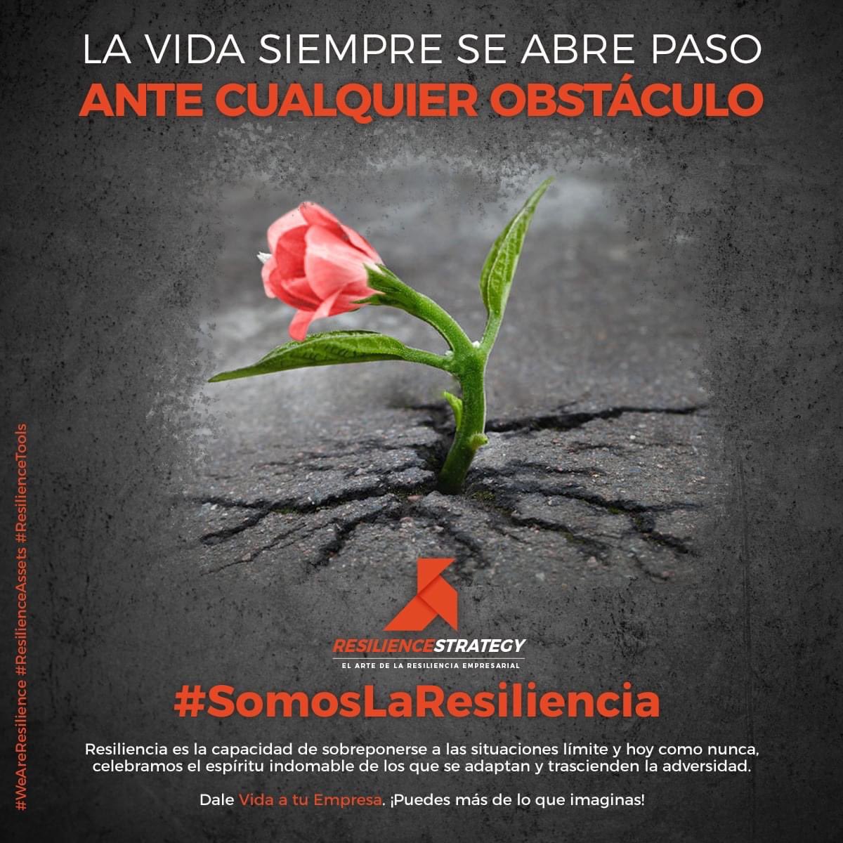 ConsultanosAC's tweet photo. Tod@s #SomosLaResiliencia y unidos ¡nada nos detiene!  
#ResilienceAssets #ResilienceTools https://t.co/fWLDrV6VP2