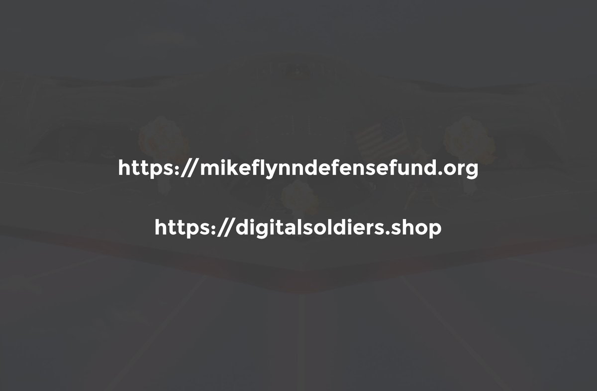 Background reading.  https://pastebin.com/pmRMjusR Donate (if US), bookmark General Flynn's store. https://mikeflynndefensefund.org  < Official General Flynn site. https://digitalsoldiers.shop  < Official General Flynn store.More below soon. :)