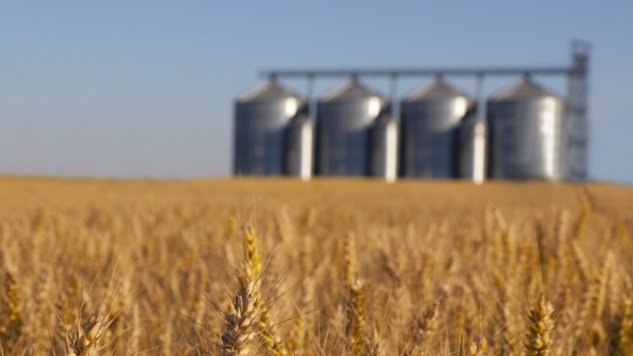 Temel beslenme ürünlerinden olan tahılların üretim, depolama ve işleme güvenliği tekrar gözden geçirilmeli...Tohumdan-Sofraya (Seed to feed) her adım yeniden dizayn edilmeli...Önce güvenlik sonra tazelik...