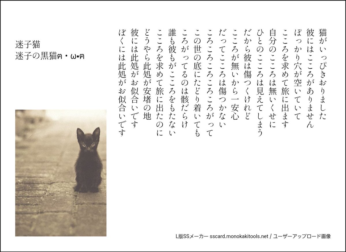 迷子の黒猫ฅ W ฅ 迷子猫 詩人の本懐 詩書きさんと繋がりたい 物書きさんと繋がりたい フォエム52 全読 ポエム
