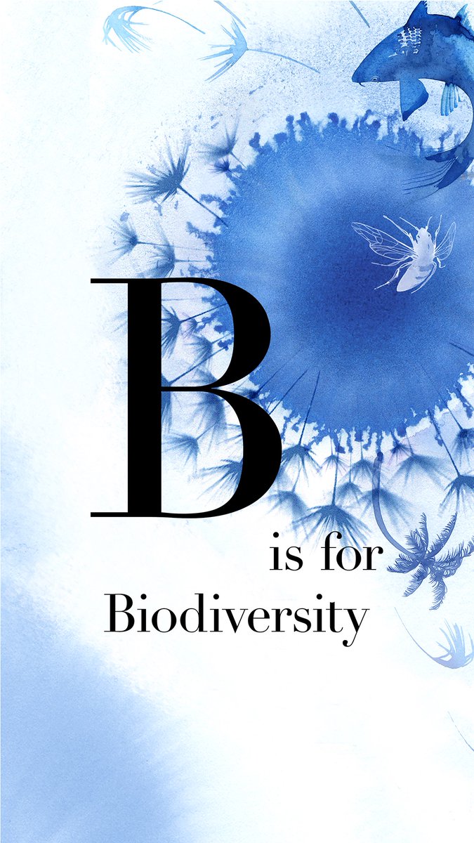 dilyswilliams's tweet photo. We must recognise our interdependencies with ecosystems that are being devastated by many fashion practices “we are eroding the very foundations of our economies, livelihoods, food security, health and quality of life worldwide” #biodiversity #sustfash #CondeNastGlossary https://t.co/nzOIORZdFu
