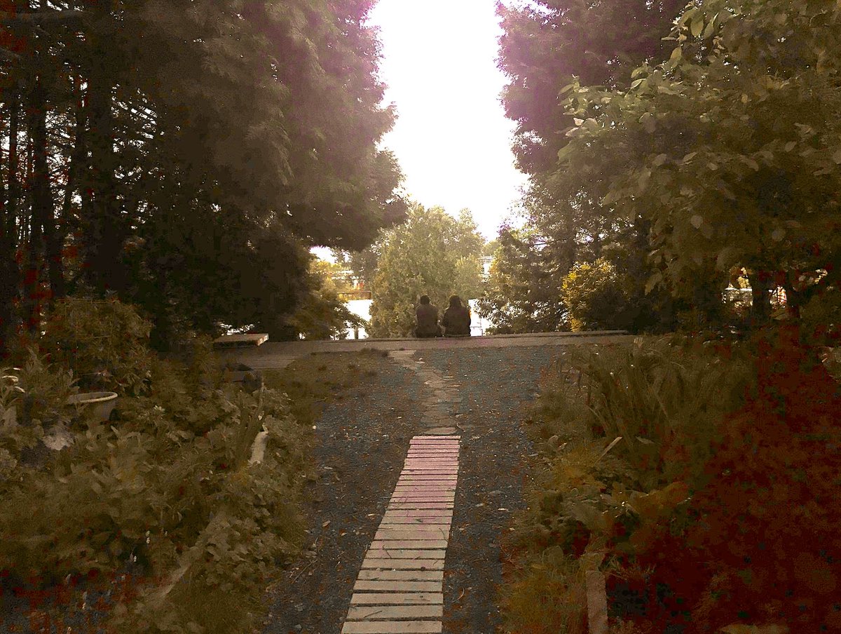 Best unofficial park in Mt. Pleasant? The little garden/wooded area at the top of the stairs at Great Northern Way and Foley. We're only ranking official parks, but it's truly lovely.