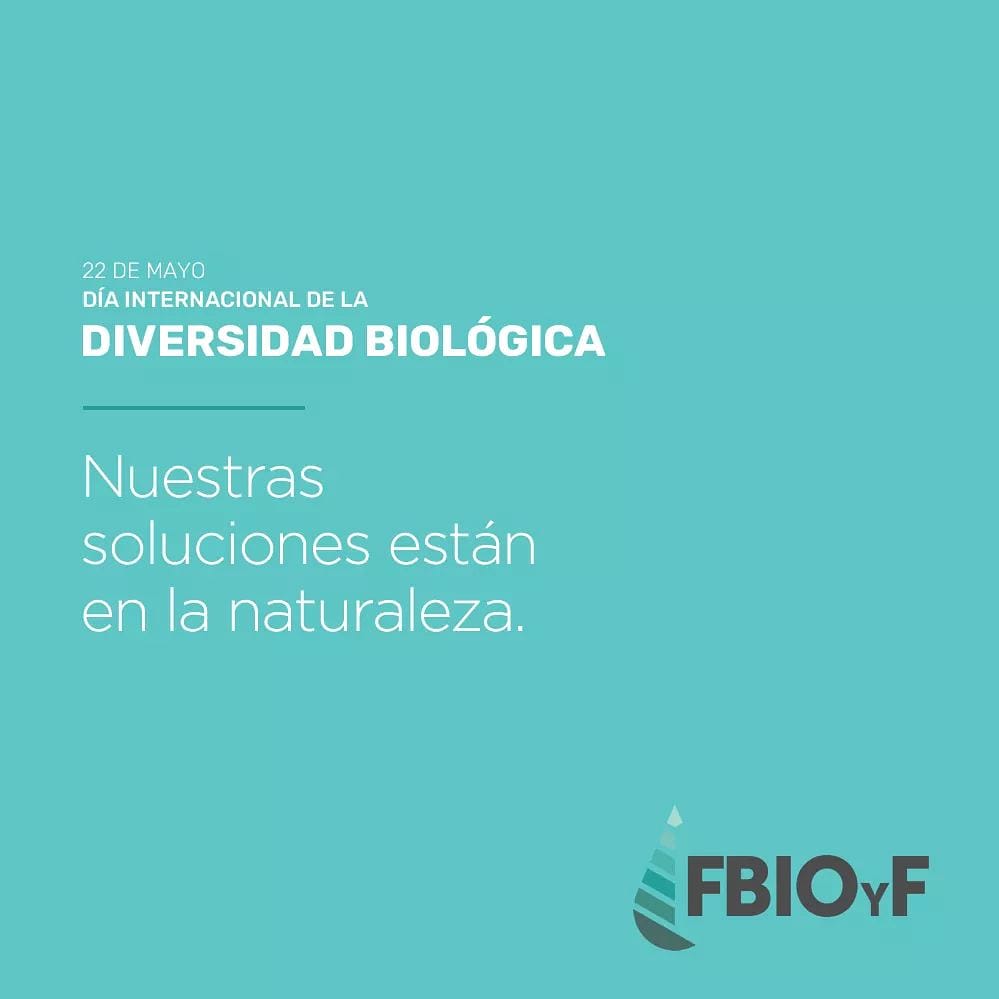 #Biodiversidad DÍA INTERNACIONAL DE LA DIVERSIDAD BIOLóGICA
🌎🌈La <a href="/fbioyfunr/">FBIOyF UNR Facultad Cs Bioquímicas y Farmacéuticas</a> como unidad académica preocupada por la biodiversidad elaboró un documento de reflexión.
Te dejamos el👇 link:bit.ly/2WSccrm para que te informes.
#fbioyfunr
#50años
#creamosfuturo