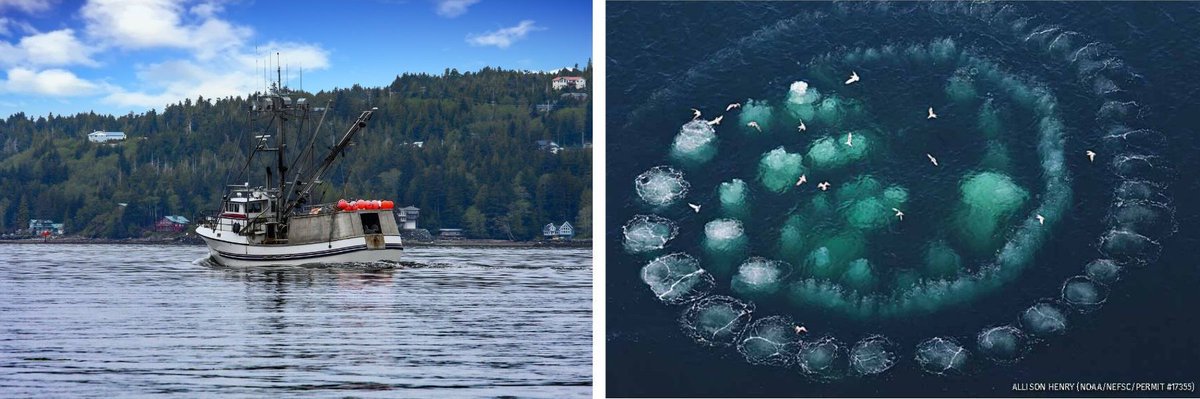 11th Hour Racing Team tweet media