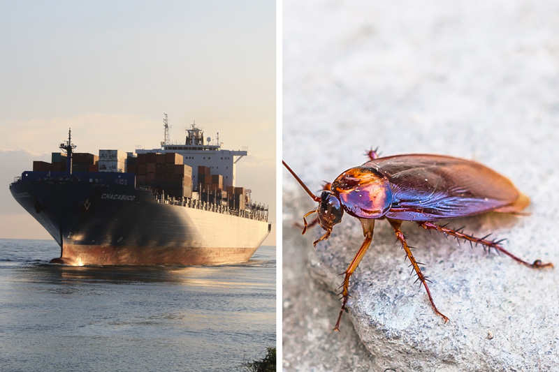 11th Hour Racing Team tweet media