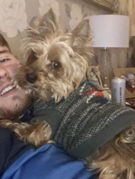 millypod1's tweet photo. πBOW #Lost #ScanMe OLDER Yorkshire Terrier Male
Swallow Street #Iver #Buckinghamshire #SL0
Older dog, teeth missing. Just had haircut
SIGHTINGS PLZ βοΈ07463 711468
https://t.co/Omtf2DubUp https://t.co/ZTdqmuLP2w