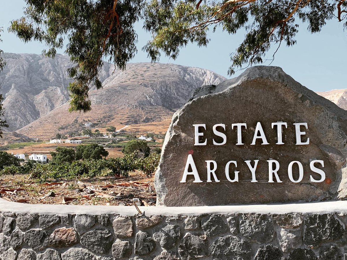 dpen_cc's tweet image. Very little rain so they get moisture from soil. A good part of the island vines growing #santoriniwine