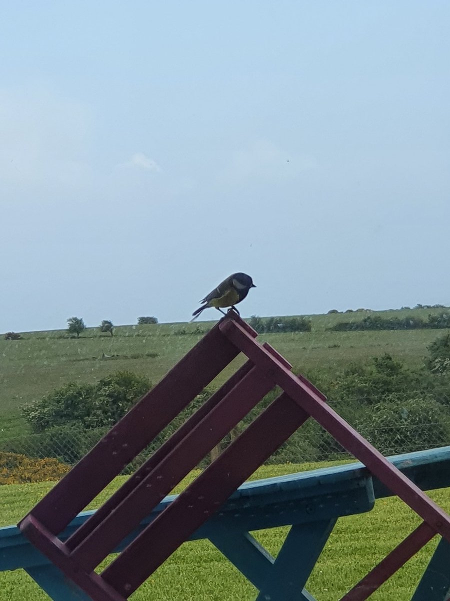 Day 1/7 of my life in pictures. Rules: no words, no people.
Nominate some one new each day.
I was nominated by <a href="/doolsdooley/">Marie Dooley</a> I nominate <a href="/jpyoughal/">John Phillips</a>