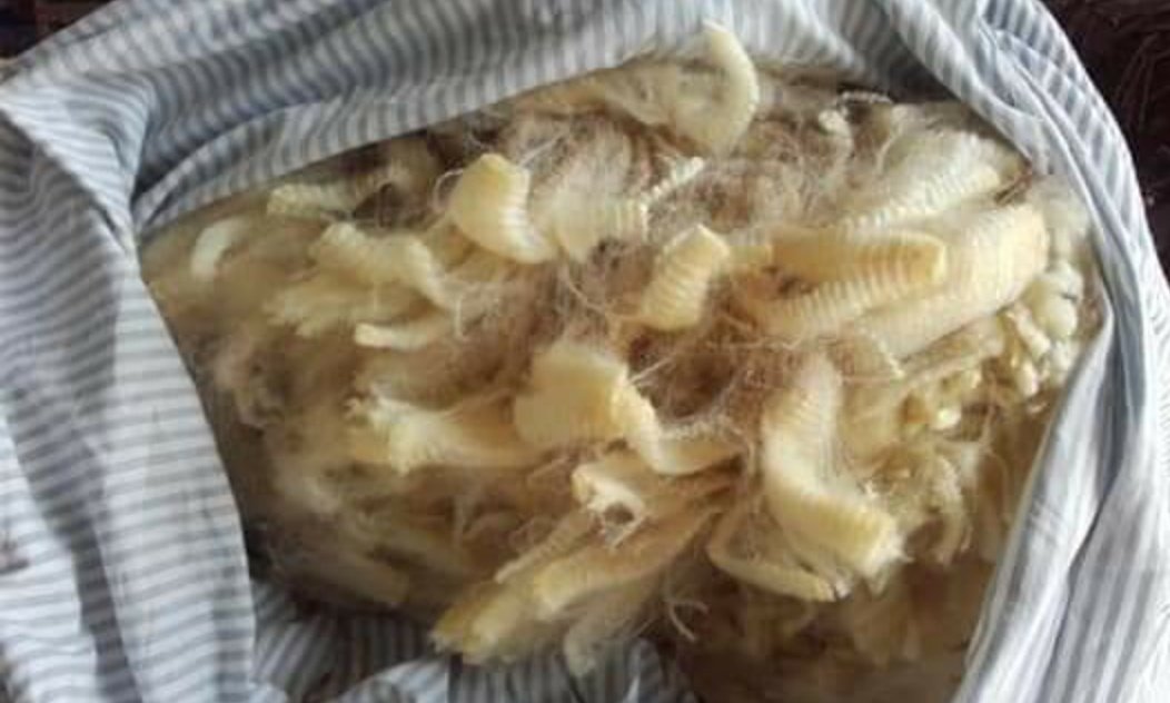 katiesummerfie2's tweet photo. I will have a limited supply of gimmers fleece, they will be quality, semi lustrous and long staples, They also take dye well. They are available first week in june...please dm if you would like one...#producedwithlove ❤👍 https://t.co/KPmCgAXN57