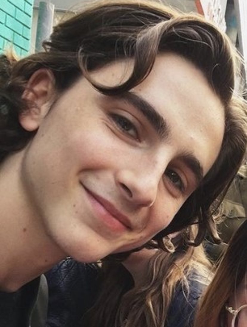 musetta - timothée chalamet daily (@Musetta_May) on Twitter photo 2020-05-22 18:32:07