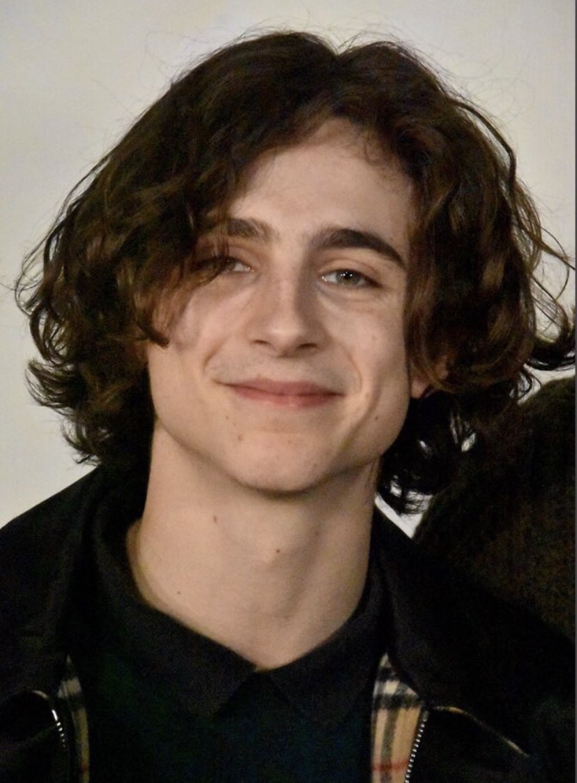 musetta - timothée chalamet daily (@Musetta_May) on Twitter photo 2020-05-22 18:32:11