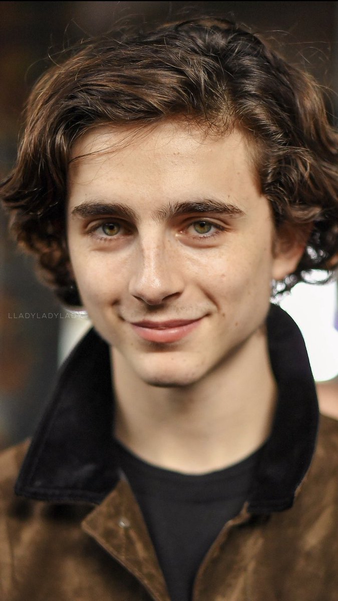 musetta - timothée chalamet daily (@Musetta_May) on Twitter photo 2020-05-22 18:32:12