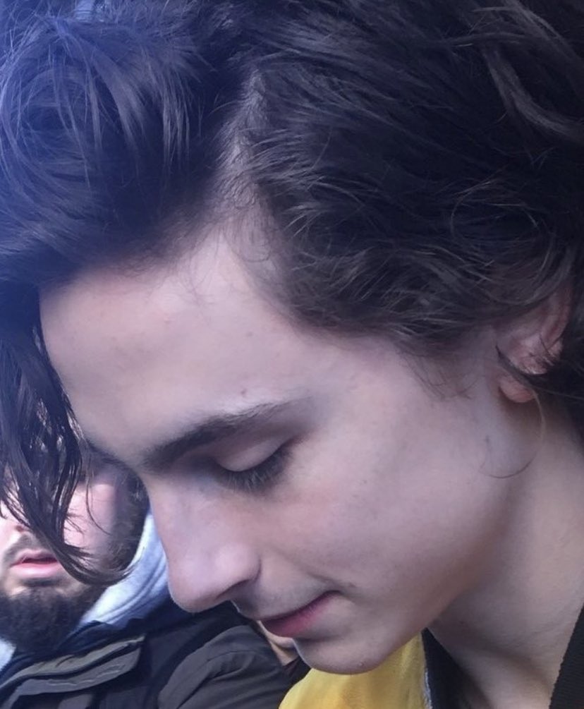 musetta - timothée chalamet daily (@Musetta_May) on Twitter photo 2020-05-22 18:35:11