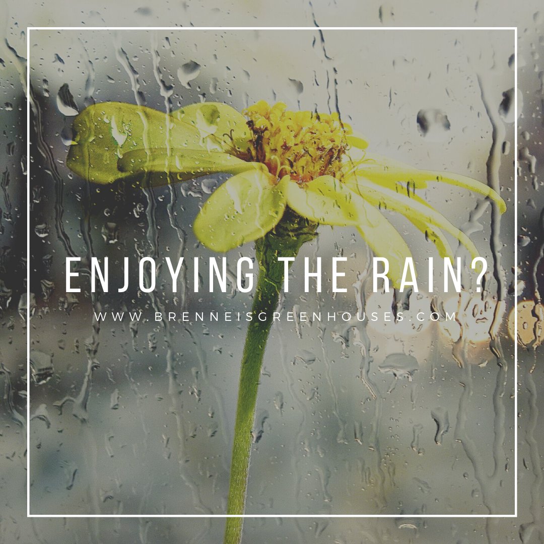 Liquid gold from the sky!

Did you get your gardens in before the rain?