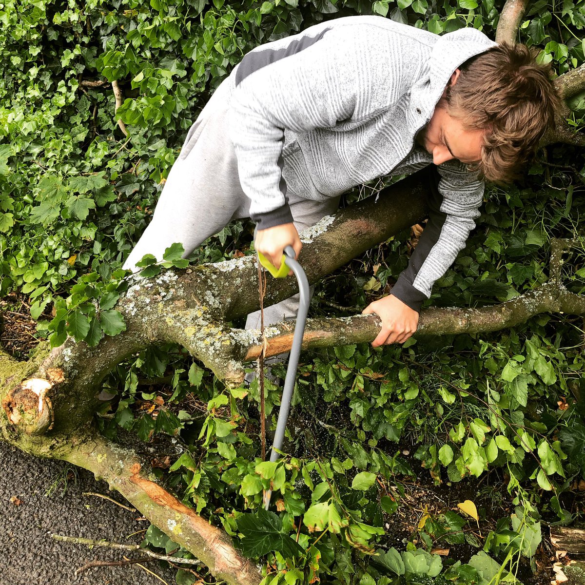 Egg Pudding Stone (EggPuddingStone) Twitter