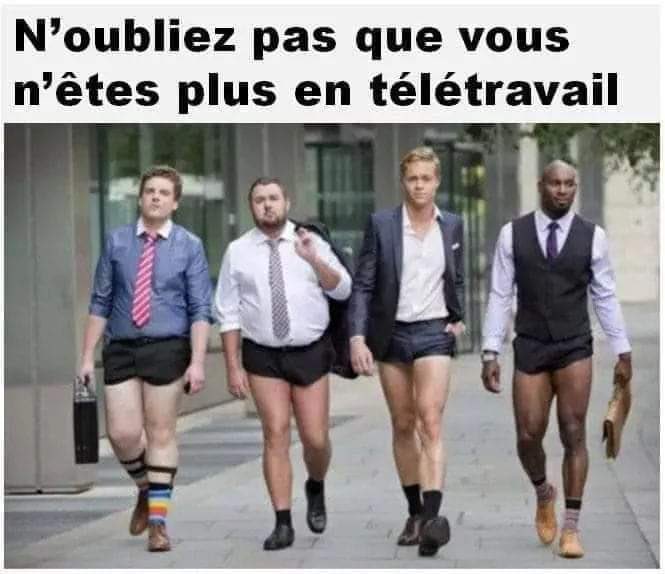 BIBACHE's tweet photo. #télétravail Messieurs serions! https://t.co/WZ1yg0lPQp