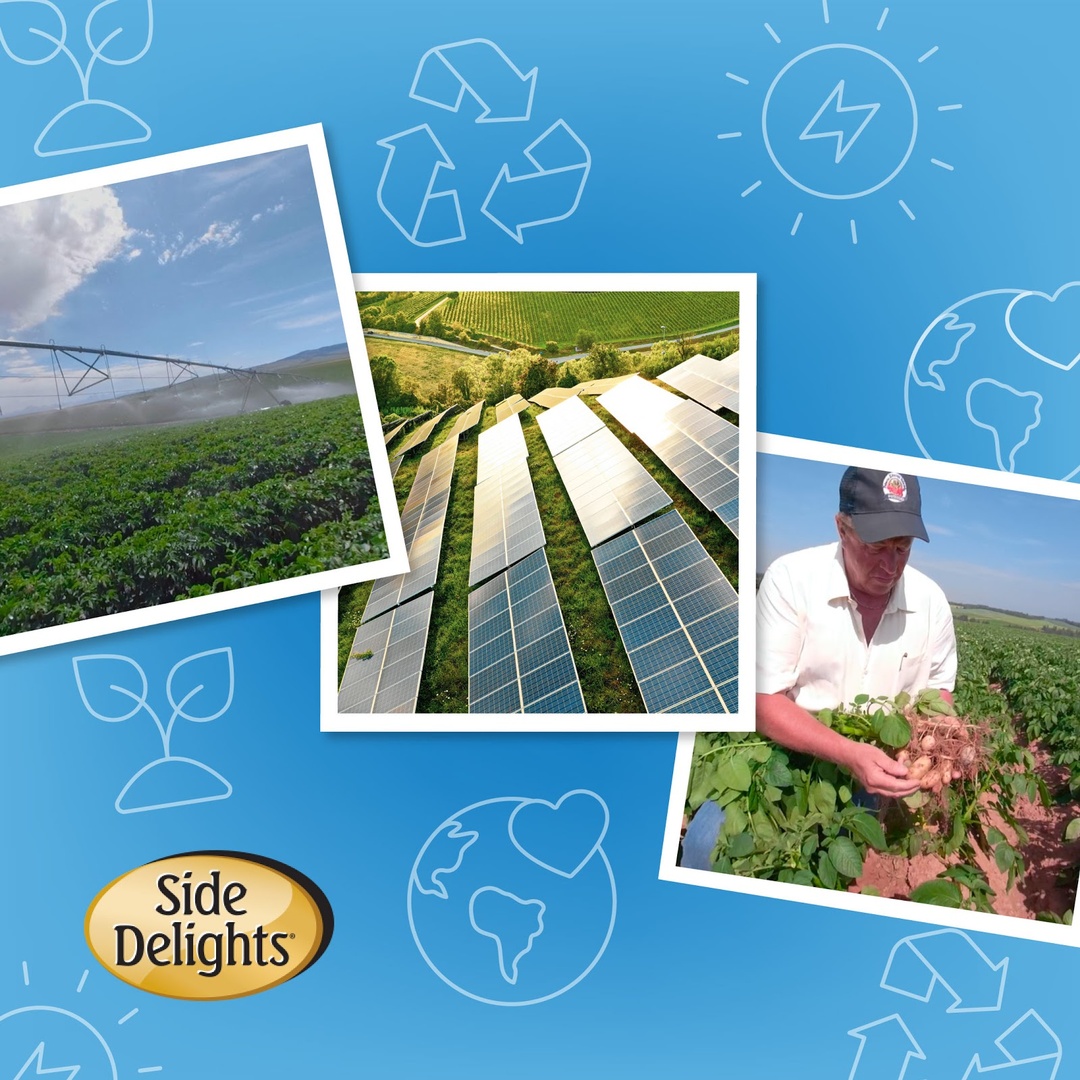 FreshSolutionsN's tweet photo. To care for the earth and our potatoes, we use renewable energy programs and are proud of our 8-acre solar farm which produces over 1,100 megawatts of electricity per year. https://t.co/5fELg36O8R