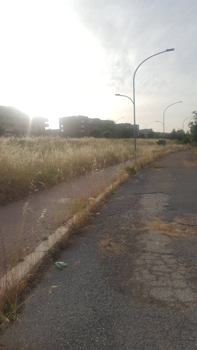 AssParcoSabine's tweet photo. @virginiaraggi Bellissima, ma il Parco delle Sabine lo avete abbandonato al suo squallido destino nonostante ci sia una convenzione comunale che nessuno rispetta e che anche voi avete dimenticato... https://t.co/tnuKs0rUrq