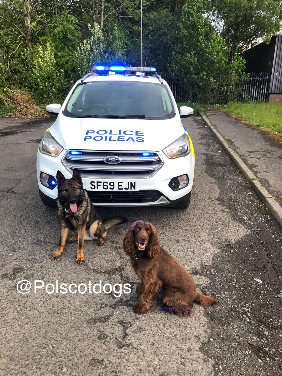 Busy day for this team, with #PDRudi locating 2 vulnerable persons and #PDEddie finding both class A and B drugs within vehicles. Treats all round. #TeamWorkMakesTheDreamWork #TheNoseKnows #KeepingPeopleSafe #PoliceDogsOfTwitter 🐾🏴󠁧󠁢󠁳󠁣󠁴󠁿