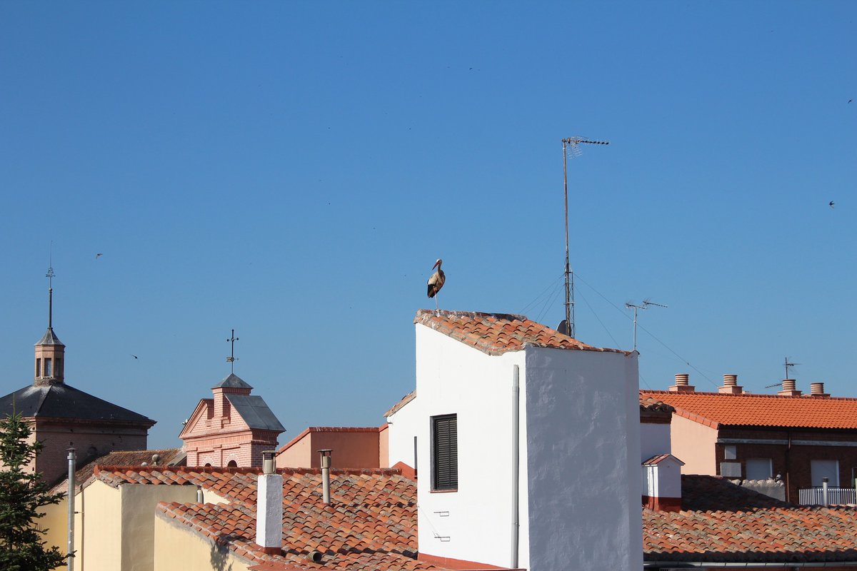 Foto cedida por Ayuntamiento de Alcalá