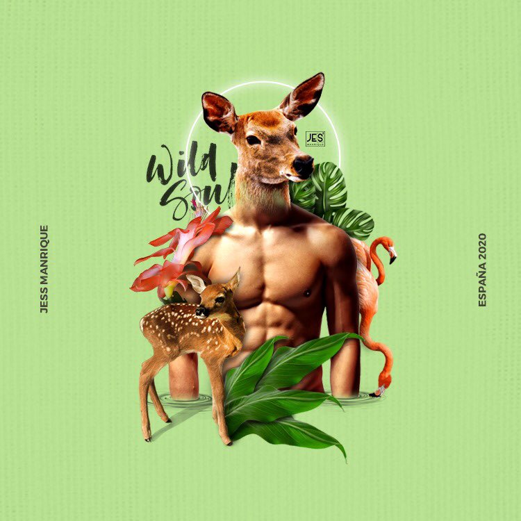 jessi_manrique_'s tweet photo. A wild soul that loves simple things..
.
.
#collageart #surrealism #art #collage #graphicdesign #photooftheday #collageartist #pariscollagecollective #collageclub
#collagesociety #c_expo #handcutcollage #cotdmr #collagewave #collagework #collageartwork #montaje #jessmanrique https://t.co/WC8ryfRmKL