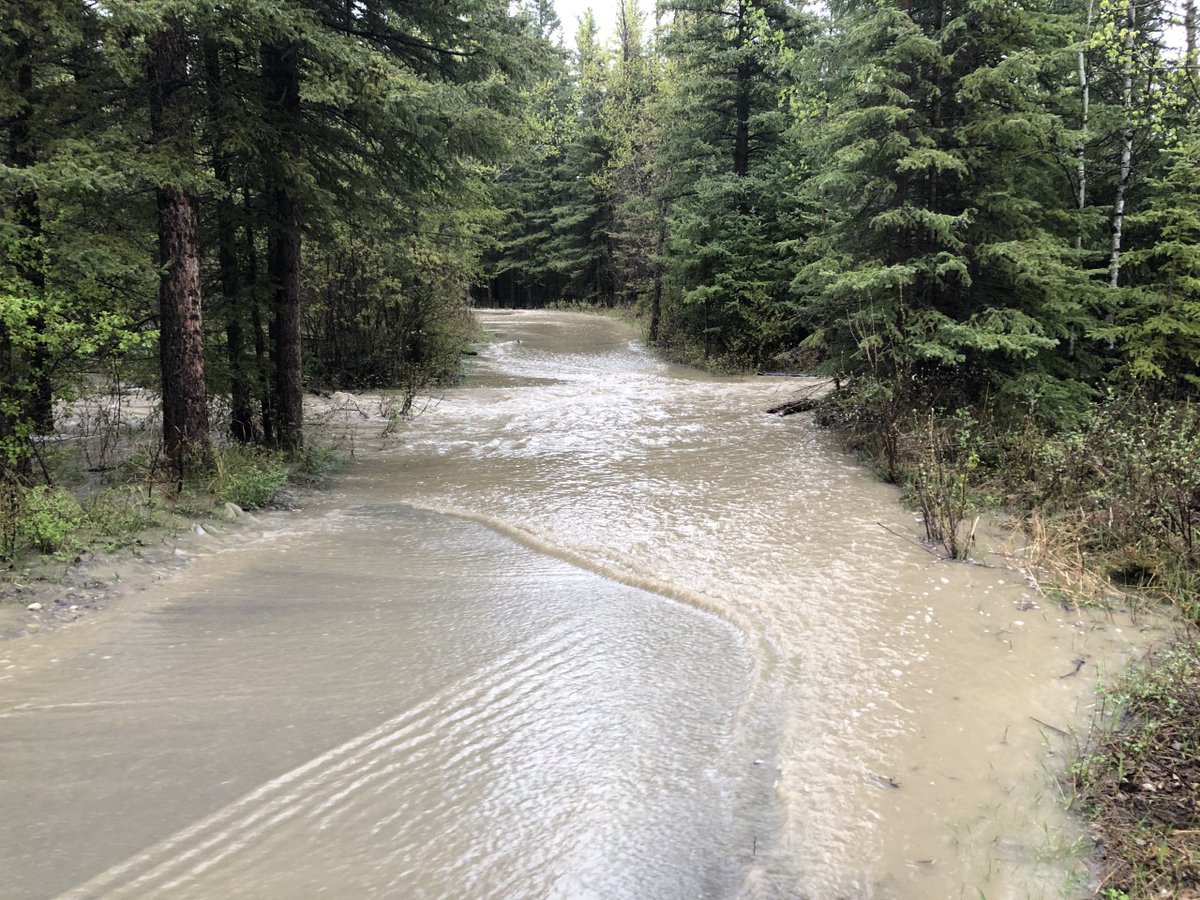 Albertaparks's tweet photo. Please be advised that areas of Fish Creek Provincial Park are flooding. Please observe all closures and stay away from the creek itself as banks can be undercut and unstable. Staff are working to close off areas for public safety. Your cooperation is appreciated. https://t.co/ue59Pspi9j