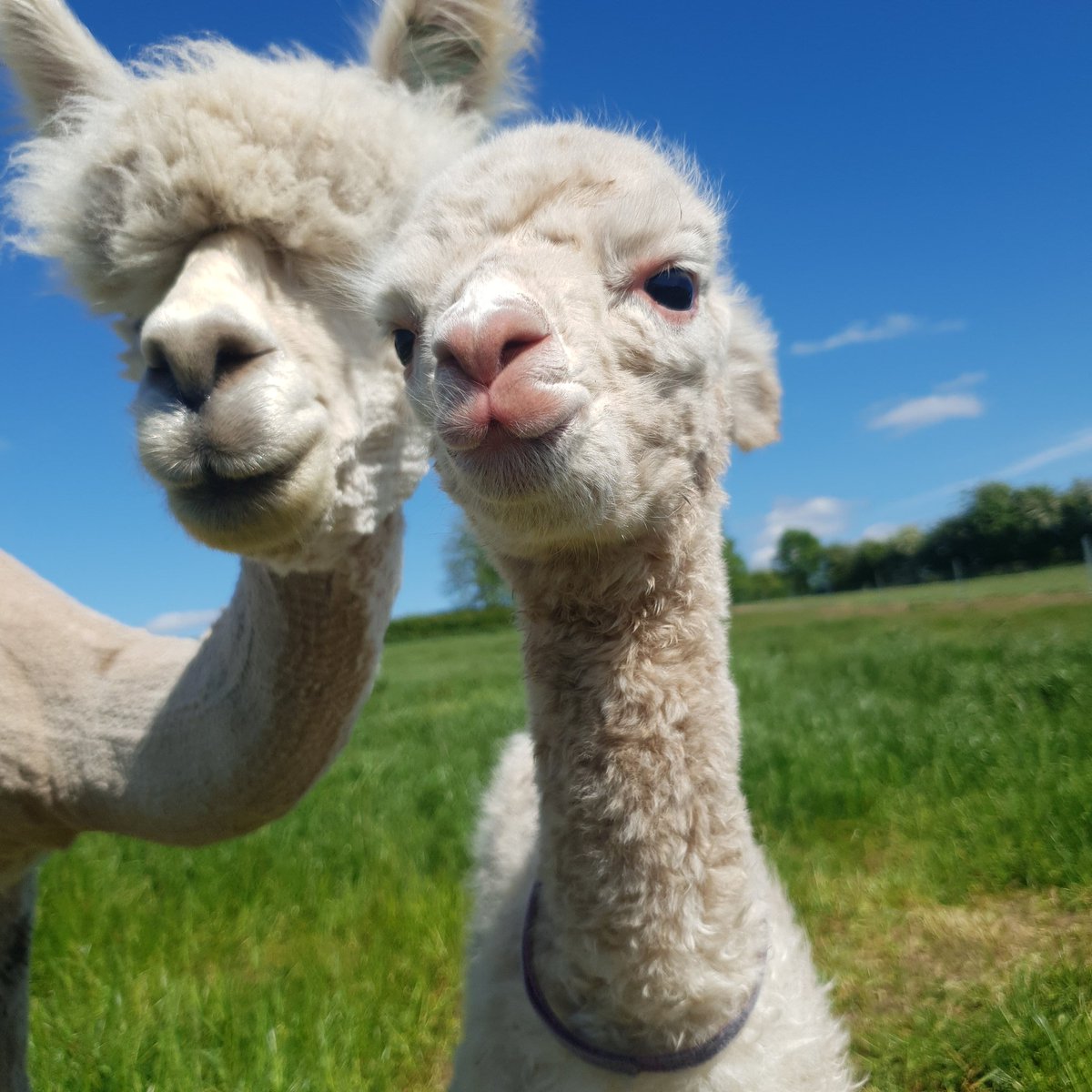 When your mum wants to join in with your selfie🤳