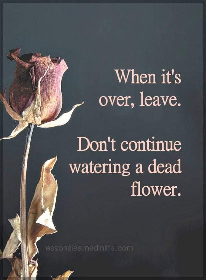 Michaela Gajova (@michaelavesely) on Twitter photo 